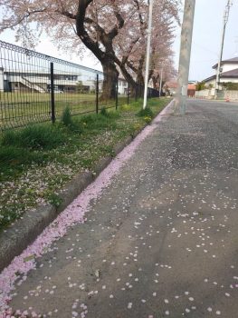 GWは、おうちで(^_-)-☆　みんなで乗り越えよ～