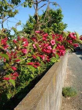 衣替えの季節です🌳