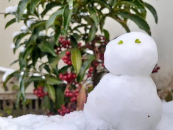 よいお年を🎍