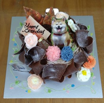 Happy Birthday 🎂