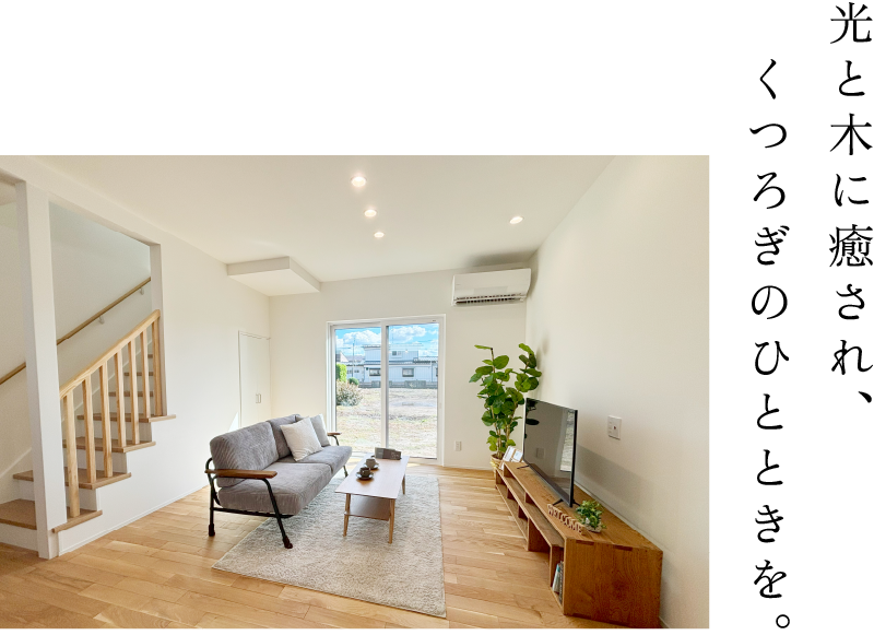 光と木に癒され、くつろぎのひとときを。