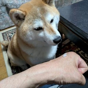 心がほぐれる時間