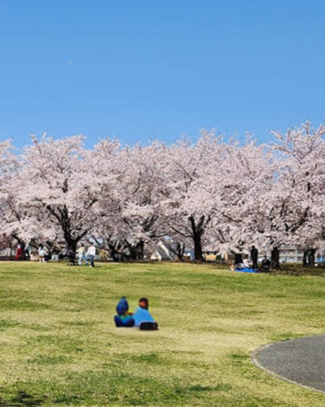[公園]新井田公園まで775ｍ　徒歩10分
